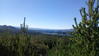 Diario de Viaje IX. Entre pehuenes y mahuidas